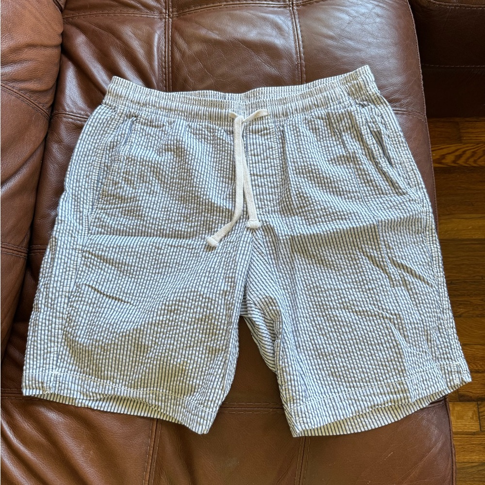 GAP Men's Blue and White Striped Flat Front Shorts